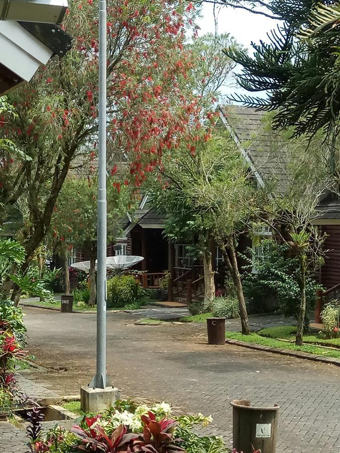 Vila Kota Bunga Private Pool Puncak Eksteriør billede